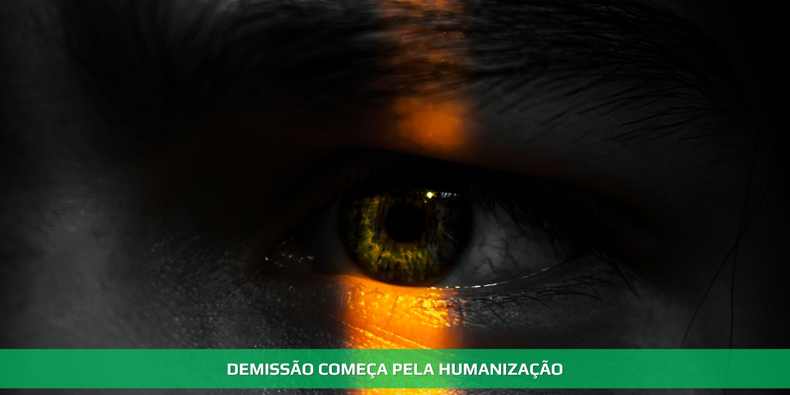 Figura 4 - DEMISSÃO. CHEGOU A HORA DE FAZER O NECESSÁRIO